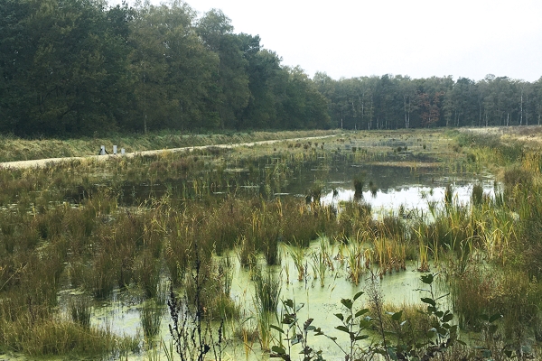img9385.jpg