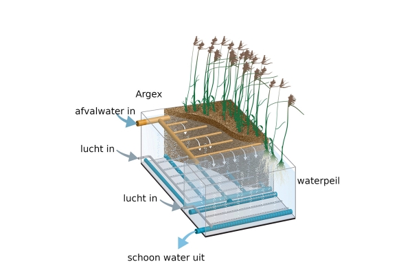 phytoairillustrationv3a11024x980.jpg