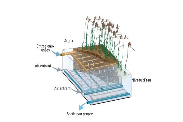 frphytoairillustrationv3a11024x980kopie.jpg
