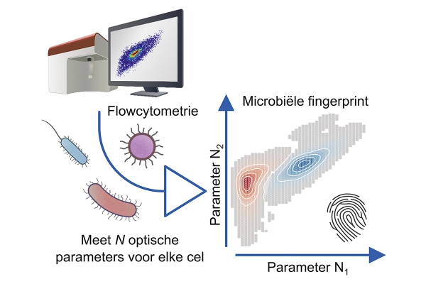 aq80-flowcytometrie-foto_2--visualisatie_van_de_fingerprinttechniek.jpg