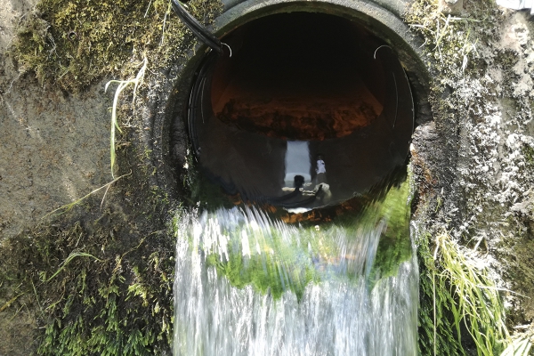 debimetreacoustiqueimmergebeluga.jpg