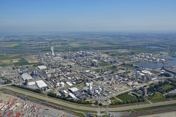 aq83basffoto5.jpg