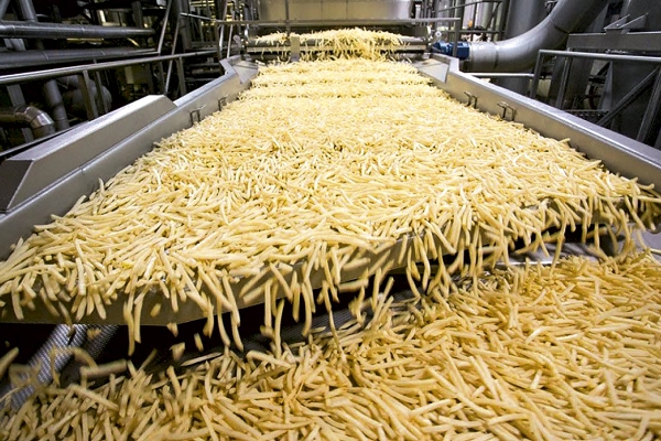 fritesproductionline.jpg