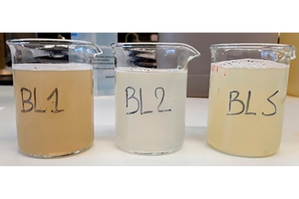 beeld3blancheerwater4png.jpg