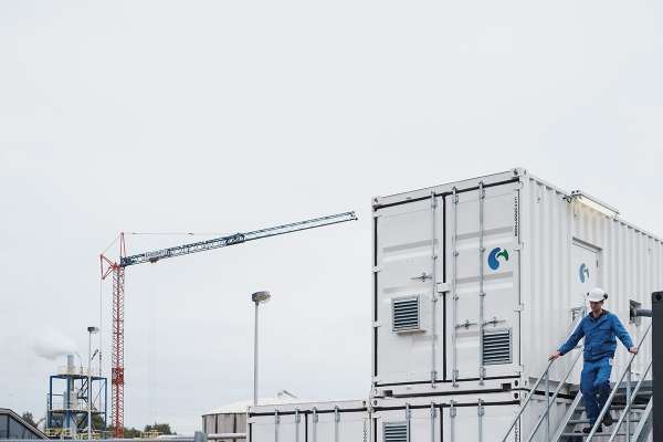 beeld6deeersteinstallatiebijjanssen.jpg