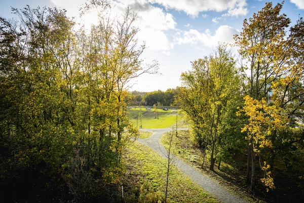 beeld11frederikbeyensbrialmontpark019.jpg