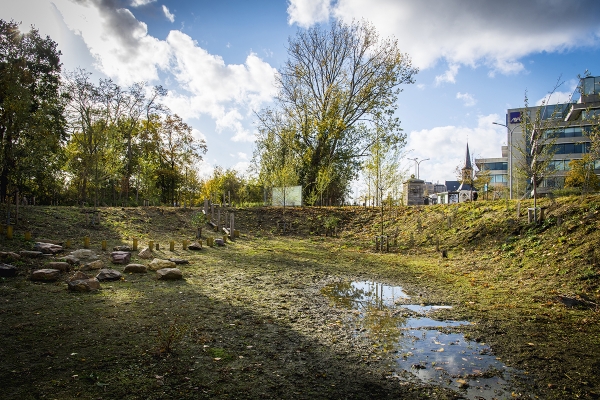 beeld8frederikbeyensbrialmontpark005.jpg
