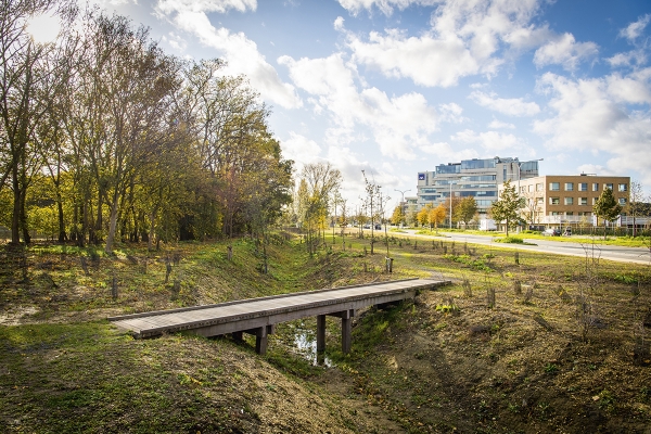beeld11frederikbeyensbrialmontpark013.jpg