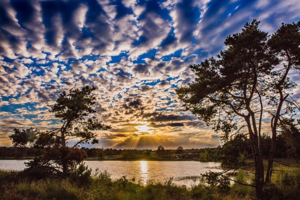 aqinroyalhaskoningdhvwatercloud.jpg
