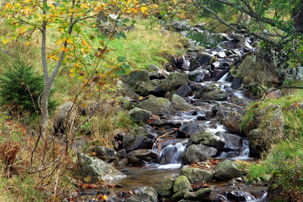 88784448aqvmmdroogtewaterlopen.jpg